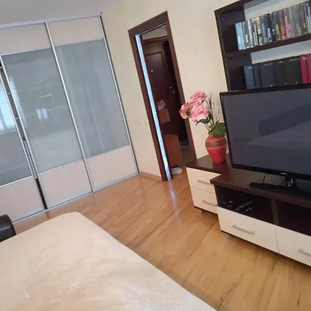 Apartment Vip-apartamenty “каля ручая” *
