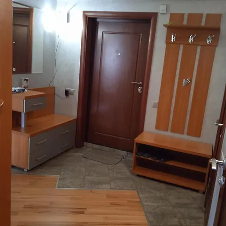 Vip-apartamenty “каля ручая” *