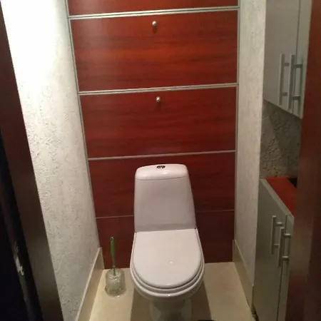 Vip-apartamenty “каля ручая” *